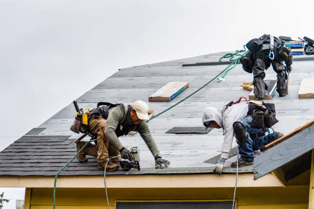 Professional Gutter Installation technician working in Boligee, AL